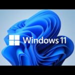 ¡Cuidado! Al instalar Windows 11 se borran tus archivos.